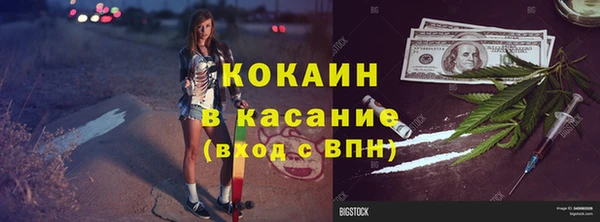 крисы Богородицк
