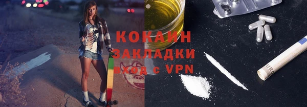 крисы Богородицк