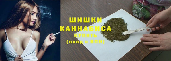 крисы Богородицк
