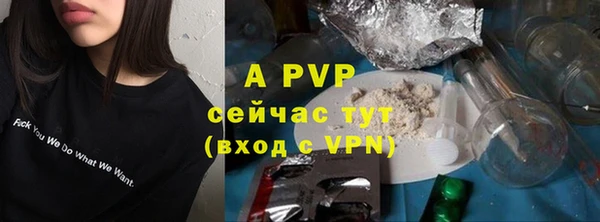 крисы Богородицк