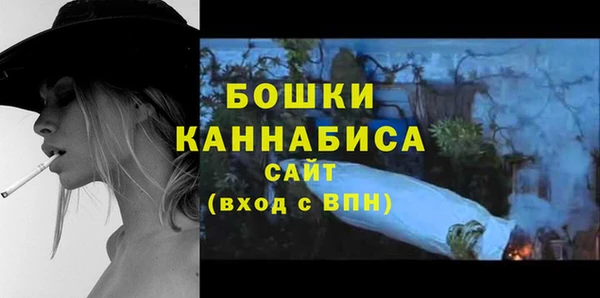 крисы Богородицк
