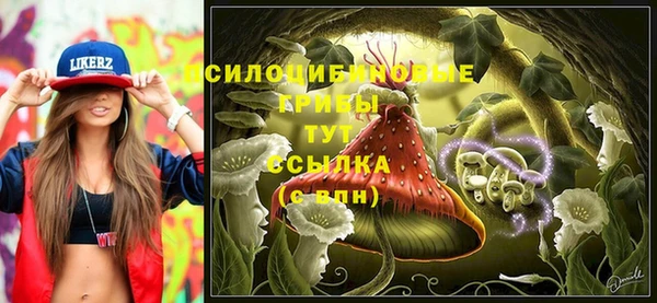 крисы Богородицк