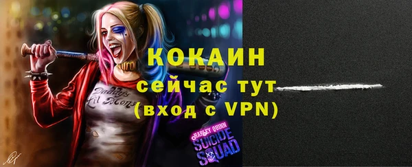 крисы Богородицк