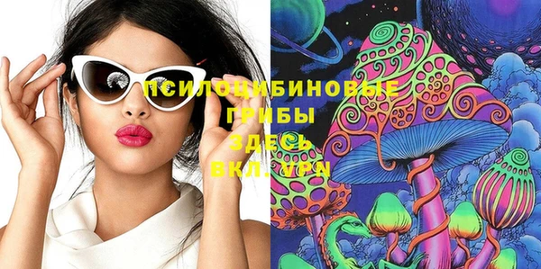 прущий лед Богородск