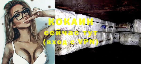 крисы Богородицк