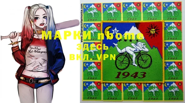 крисы Богородицк