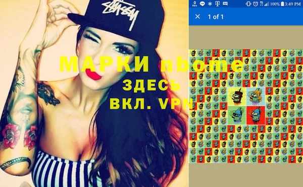 крисы Богородицк