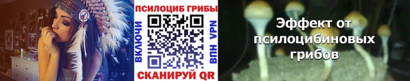 Купить закладки  Гвардейск  Псилоцибиновые грибы MAGIC MUSHROOMS 