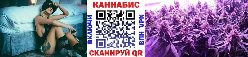 Шишки марихуана план  Купить закладки  Гвардейск 